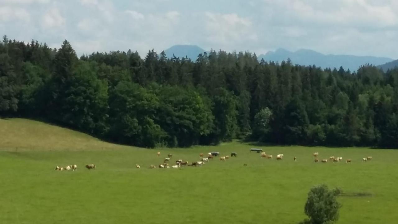 Biohof Babel Lägenhet Sachsenkam Exteriör bild